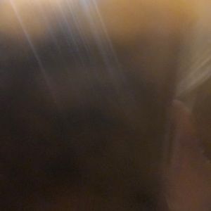 Meet your Posher, Natasha